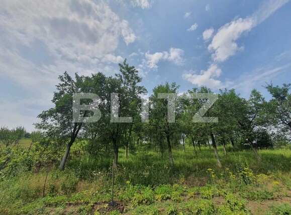 Casa de vânzare 4 camere Nord - 121473CV | BLITZ Târgu Mureș | Poza1