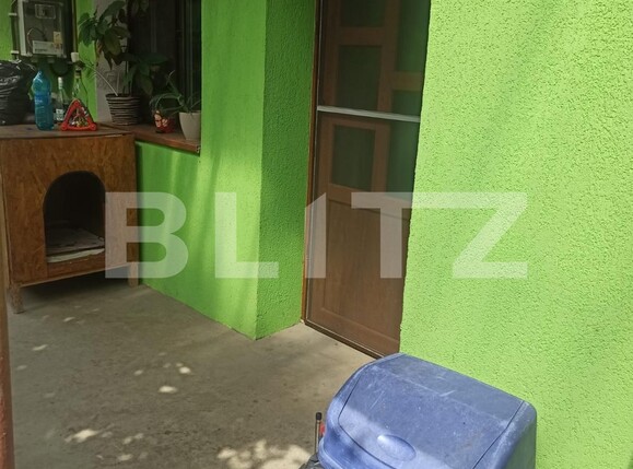 Casa de vânzare 5 camere Dambu Pietros - 121835CV | BLITZ Târgu Mureș | Poza13