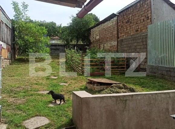 Casa de vânzare 5 camere Dambu Pietros - 121835CV | BLITZ Târgu Mureș | Poza12