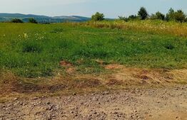 Teren, 600 mp, Sangeorgiu de Mures