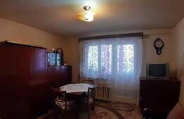 Oportunitate! Apartament cu 2 camere, 50mp, Dambu Pietros