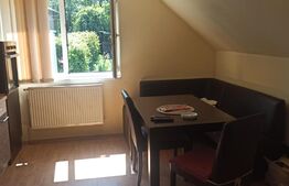 Casa cu 4 camere, 387mp, zona Băilor Sărate Sângeorgiu