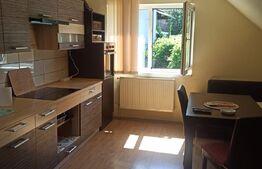 Casa cu 4 camere, 387mp, zona Băilor Sărate Sângeorgiu