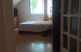 Casa cu 4 camere, 387mp, zona Băilor Sărate Sângeorgiu