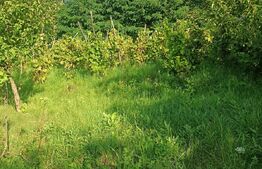 Teren, 2400 mp, zona Sangeorgiu