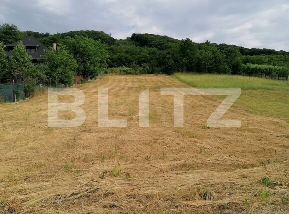 Teren de vânzare Sângeorgiu de Mureș - 122609TV | BLITZ Târgu Mureș | Poza6