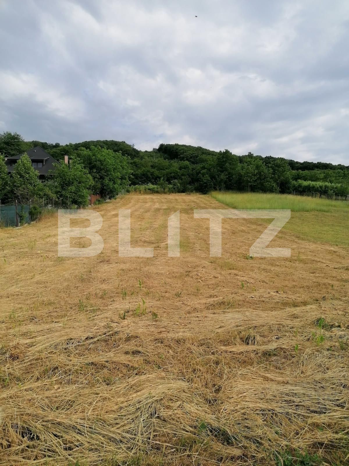 Teren de vânzare Sângeorgiu de Mureș - 122609TV | BLITZ Târgu Mureș | Poza6