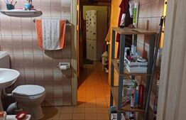 Casa 3 camere semicentral in curte comuna