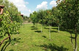 Casa cu 3 camere in zona Sangeorgiu