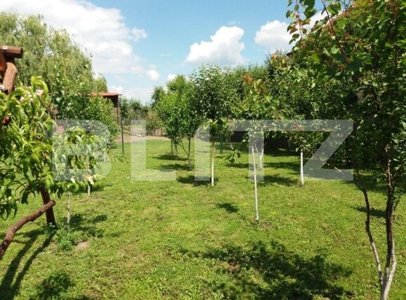 Casa de vânzare 3 camere Sângeorgiu de Mureș - 122720CV | BLITZ Târgu Mureș | Poza4