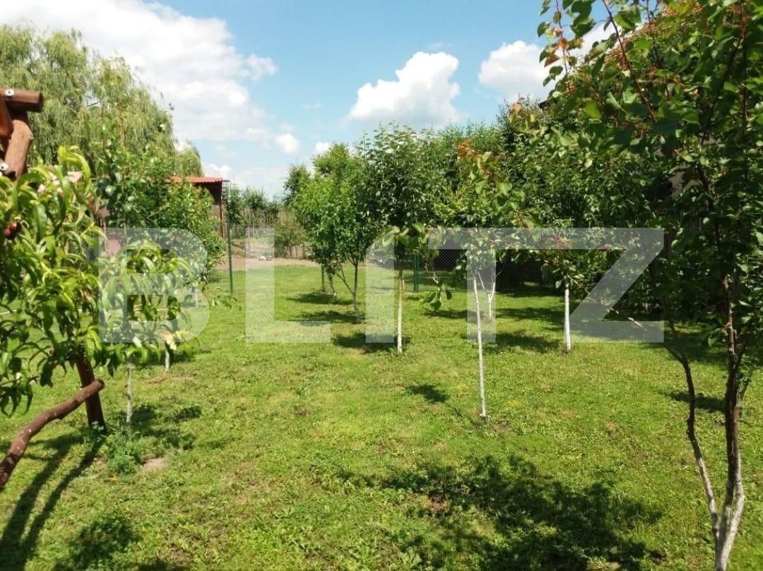 Casa de vânzare 3 camere Sângeorgiu de Mureș - 122720CV | BLITZ Târgu Mureș | Poza4