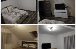 Vila de lux cu 4 camere 193mp utili Livezeni