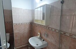 Apartament 2 camere, 100 mp, Ultracentral