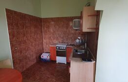 Apartament 2 camere, 100 mp, Ultracentral