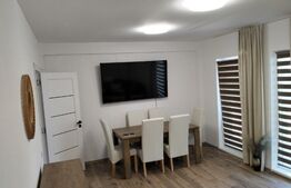 Apartament cu o camera , 43mp, 7 Noiembrie