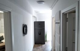 Apartament cu o camera , 43mp, 7 Noiembrie