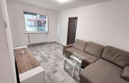 Apartament 2 camere, 37mp, recent renovat, Mureseni