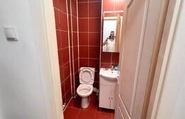 Apartament 2 camere, 37mp, recent renovat, Mureseni