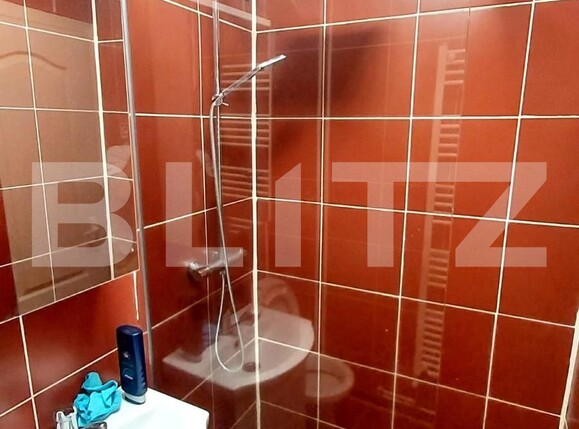 Apartament de vânzare 2 camere Mureseni - 123119AV | BLITZ Târgu Mureș | Poza10