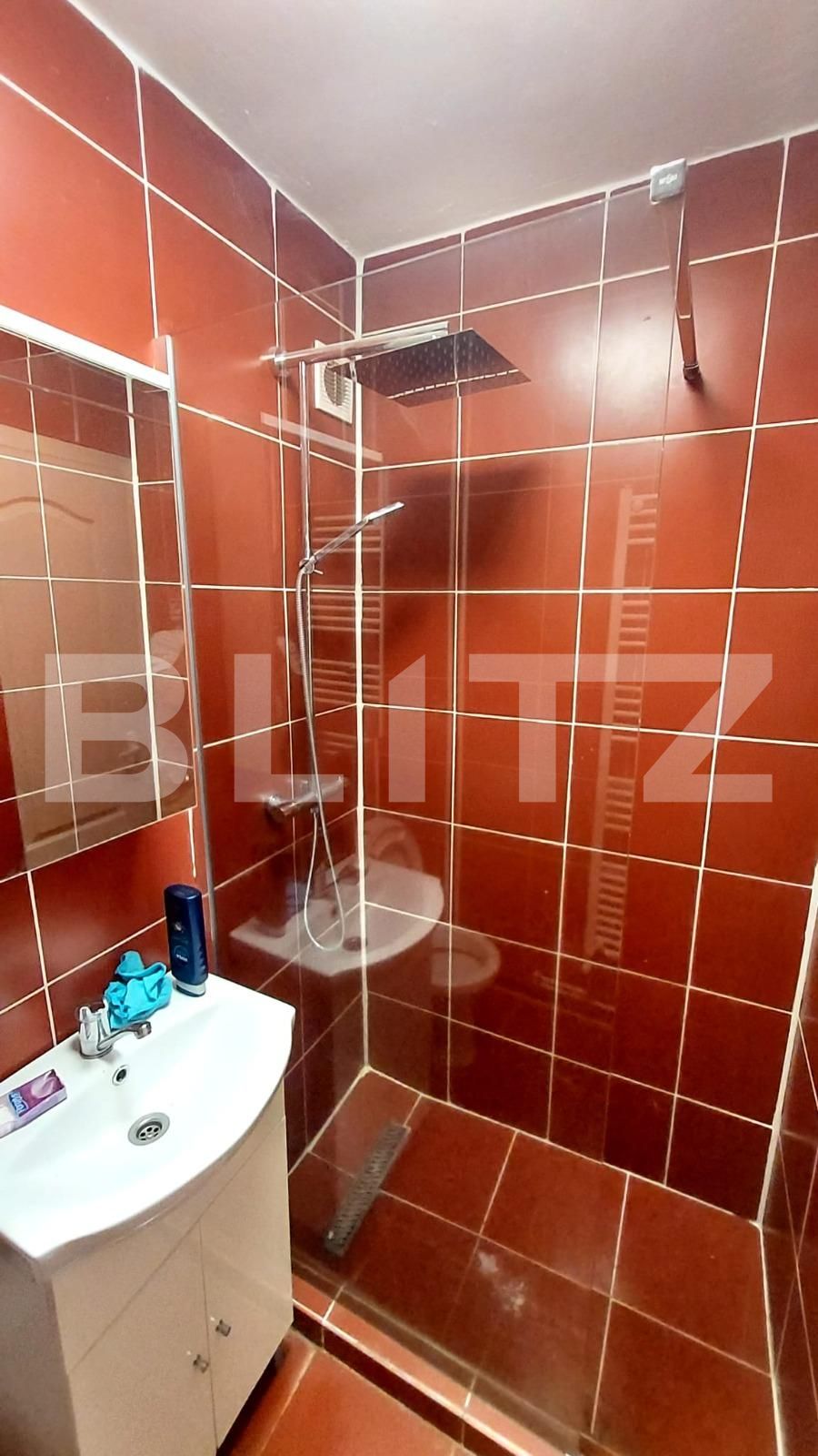 Apartament de vânzare 2 camere Mureseni - 123119AV | BLITZ Târgu Mureș | Poza10