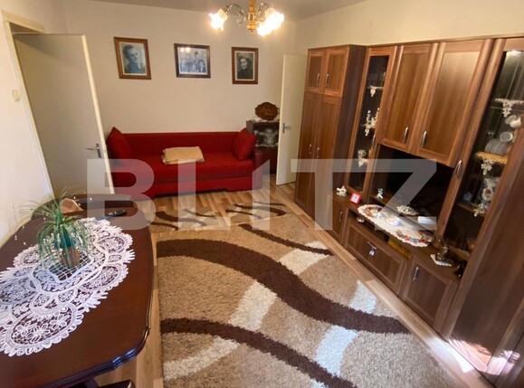 Apartament de vânzare 2 camere Aleea Carpati - 123171AV | BLITZ Târgu Mureș | Poza4