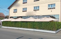 Oportunitate afacere la cheie!! Pensiune cu 22 camere, in Tg-Mures