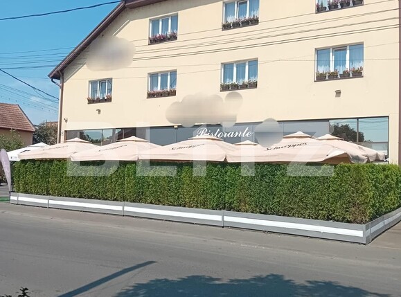 Casa de vânzare 22 camere Balcescu - 123182CV | BLITZ Târgu Mureș | Poza1