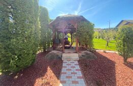 Casa cu 4 camere, 300 mp utili, 1100mp teren, Exterior Est