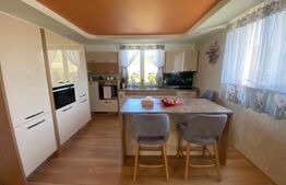 Casa cu 4 camere, 300 mp utili, 1100mp teren, Exterior Est