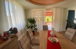 Casa cu 4 camere, 300 mp utili, 1100mp teren, Exterior Est