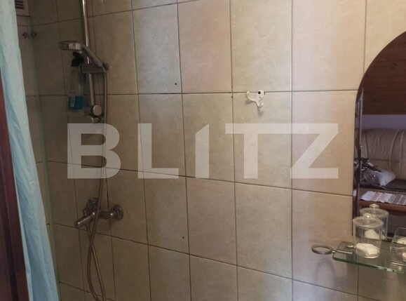 Casa de vânzare 3 camere Mureseni - 123245CV | BLITZ Târgu Mureș | Poza10