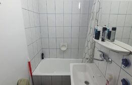 Apartament 1 camera, 30 mp, zona Tudor