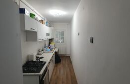 Apartament 1 camera, 30 mp, zona Tudor