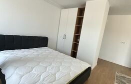 Apartament 1 camera, 43mp