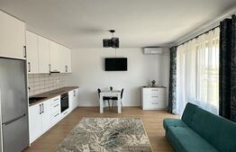 Apartament 1 camera, 43mp