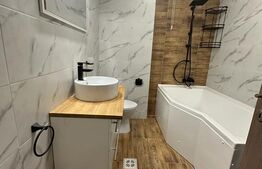 Apartament 1 camera, 43mp