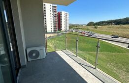 Apartament 1 camera, 43mp