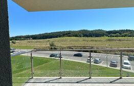Apartament 1 camera, 43mp