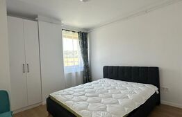 Apartament 1 camera, 43mp