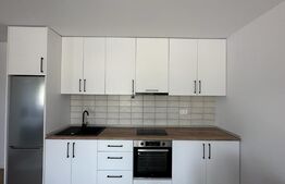 Apartament 1 camera, 43mp
