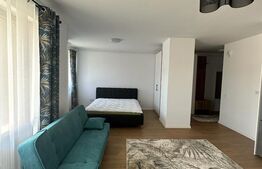 Apartament 1 camera, 43mp
