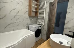 Apartament 1 camera, 43mp