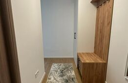 Apartament 1 camera, 43mp