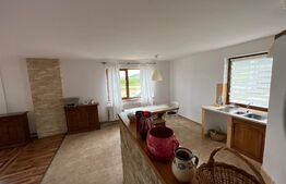 Casa cu etaj, 5 dormitoare, 230 mp, 600 mp suprafață teren, Corunca