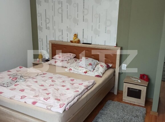 Casa de vânzare 5 camere Budai - 123463CV | BLITZ Târgu Mureș | Poza11