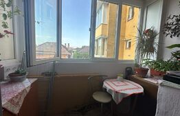 Apartament cu 2 camere, 38mp, zona Aleea Savinesti