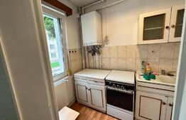 Apartament cu 1 cameră, 24 mp, zona Piața Republicii