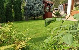 Casa cu 3 camere, 170mp, zona Livezeni