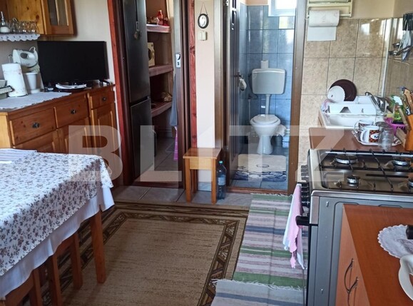 Casa de vânzare 3 camere Nazna - 123602CV | BLITZ Târgu Mureș | Poza9