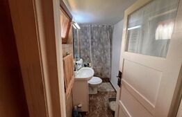 Casa pe un nivel, 53 mp utili , 120mp suprafață teren, cartier Remetea 